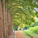 이화동산 이미지