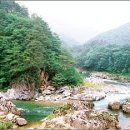 금강송계곡민박 이미지