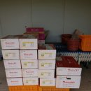 문윤기 | 애플데이 이벤트 후기