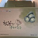 국산 100%양배추즙 추천 NH담양농협 무안양배추즙