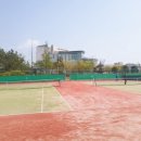 을숙도 테니스장 이미지