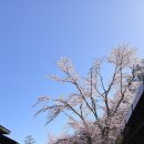톤보 | 가루이자와 산책코스추천 — 하루니레테라스와 호시노 톤보노유온천