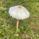 희재목장 이미지