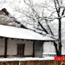 지전 이미지