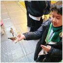 엑스포(아)4단지경로당 | 1월 경주가볼만한곳 아이랑 실내 동물원 주렁주렁 경주점 겨울 여행 후기