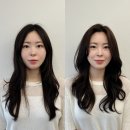 강남미용실 엔버 양재점 ㅣ 쿨톤 스킨브라운 염색 양재역미용실 추천