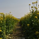 황산공원(황산B) 이미지