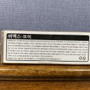 비엑스브이 네이버블로그