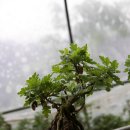 정곡농장 이미지