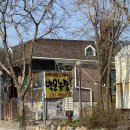 백운 | 수원 광교산 노포 맛집 백운농장 : 야장 숯불바베큐 후기