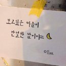 돼지오빠 이미지