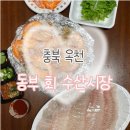옥천동부 | [충북 옥천] 대전 근교 가을 대하와 회 포장 맛집 “동부수산 활어직판장“