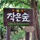 작은숲 이미지