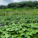 한울타리농장 이미지