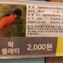 리트머스롯데마트 이미지