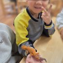 안진초등학교 이미지