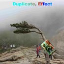 Duplicate, Effect 이미지