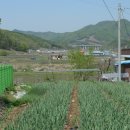 영정리 유구천 제방(2) | 유구천 트레킹 2