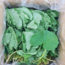 영임농장 이미지