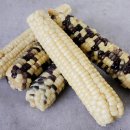 무주냉동 이미지