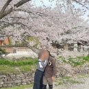 변산반도 국립공원 가볼만한곳 - 내변산 내소사 등산코스 후기