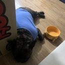 신일환동물병원 이미지