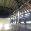 신평동1120 이미지