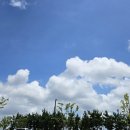 장백산조경 | 오랜만에 남편과 함께 창녕 데이트