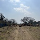 서광리-19 이미지