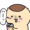 보들이쭈꾸미 이미지