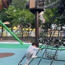 신상4어린이공원 네이버블로그