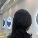 살롱드 봄 헤어 이미지