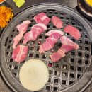 월드나이트 | 김해 어방동 고기집 맛집 도축상회, 퇴근길 뒷고기·껍데기로 지친 하루 충전 완료!