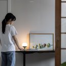 노이메종 | 세월의 멋에 캐주얼을 더한 [서귀포 안덕 감성 숙소 | 노이메종 후기]