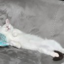꿀잠 - 용산구 녹사평대로40나길 5 | 꿀잠