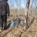 용산-244 이미지