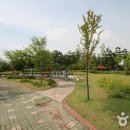 신태평양 이미지