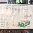 고산로126번길 | 남양주한강뷰카페 트윈트리ㅣ브런치맛집 애견동반카페 테라스 별관 이용후기