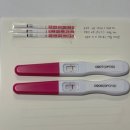B14-2 이미지