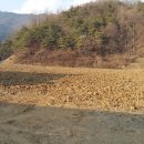 양지-3007 이미지