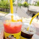 여름음료추천 메가MGC커피 vs 백억커피 신메뉴 솔직후기!
