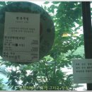 매향밤막국수 이미지