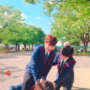 다원 이미지