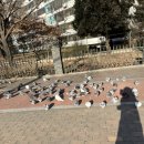 잠실역6번출구(뒤) 이미지