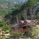 검봉산 자연휴양림 티스토리