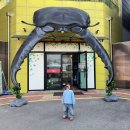여주곤충박물관 | 🐛 벌레는 싫지만… 아이와 함께 다녀온 여주 곤충박물관 후기 / 경기도 여주 체험형 곤충 박물관