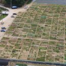 호원플러스약국 이미지