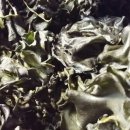 (주)태성물산 이미지