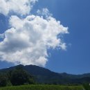 남월농장 이미지