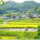 고향 이미지